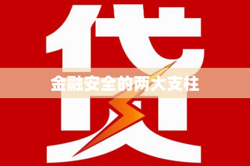 荥经金融安全的两大支柱