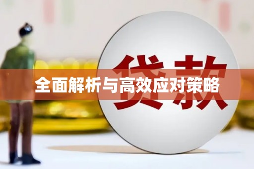 荥经全面解析与高效应对策略