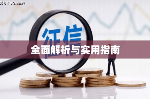 荥经全面解析与实用指南