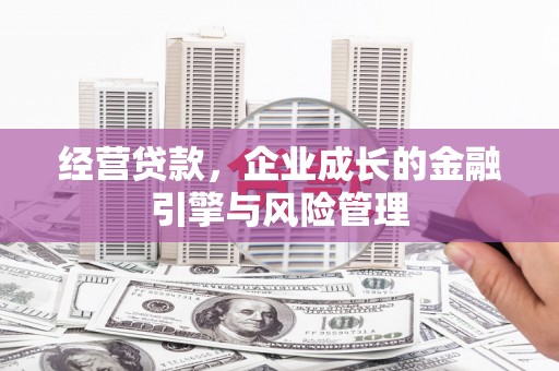 荥经经营贷款，企业成长的金融引擎与风险管理