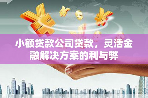 荥经小额贷款公司贷款，灵活金融解决方案的利与弊