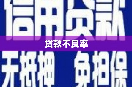 荥经贷款不良率