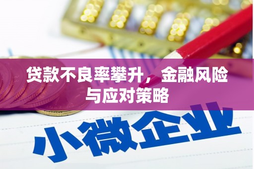 荥经贷款不良率攀升，金融风险与应对策略