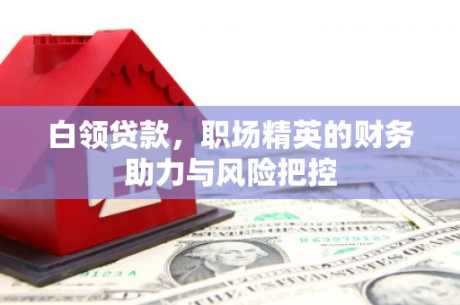荥经白领贷款，职场精英的财务助力与风险把控