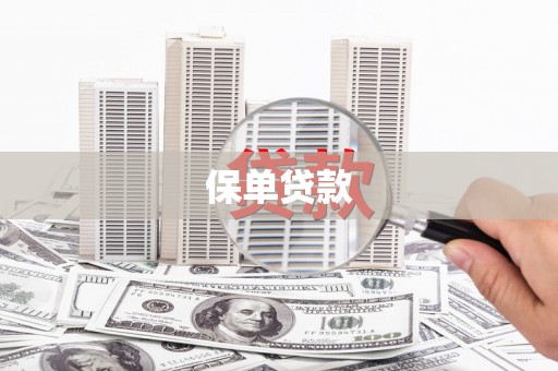 荥经保单贷款